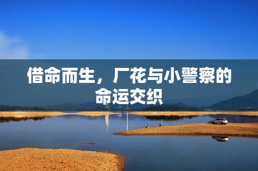 借命而生，厂花与小警察的命运交织