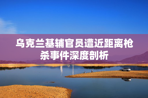 乌克兰基辅官员遭近距离枪杀事件深度剖析