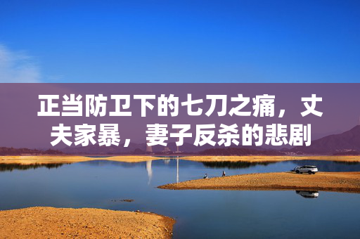 正当防卫下的七刀之痛，丈夫家暴，妻子反杀的悲剧
