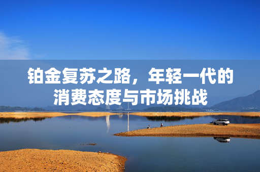 铂金复苏之路，年轻一代的消费态度与市场挑战