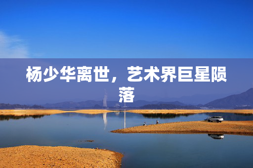 杨少华离世，艺术界巨星陨落