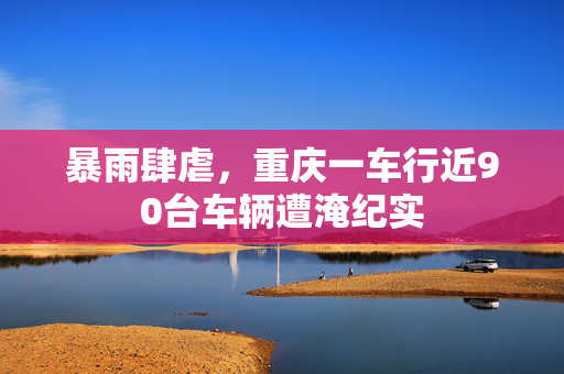 暴雨肆虐，重庆一车行近90台车辆遭淹纪实