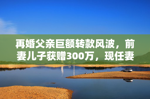 再婚父亲巨额转款风波，前妻儿子获赠300万，现任妻子愤怒起诉