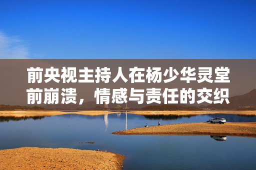 前央视主持人在杨少华灵堂前崩溃，情感与责任的交织