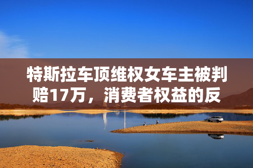 特斯拉车顶维权女车主被判赔17万，消费者权益的反思与探讨