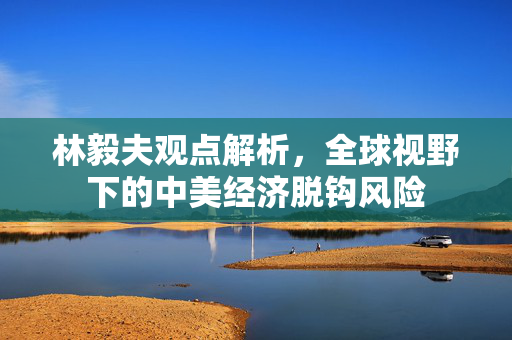 林毅夫观点解析，全球视野下的中美经济脱钩风险