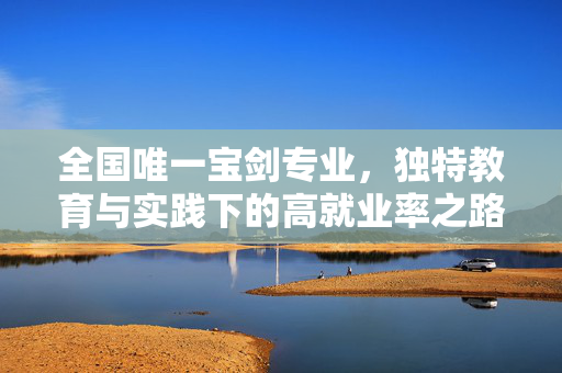 全国唯一宝剑专业，独特教育与实践下的高就业率之路