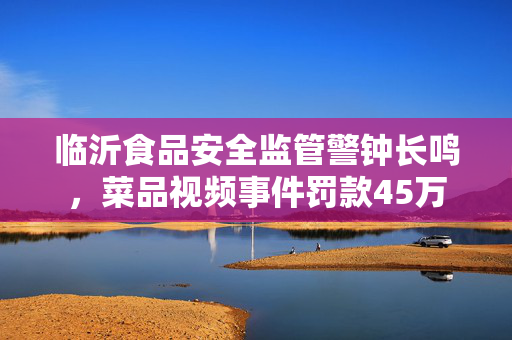 临沂食品安全监管警钟长鸣，菜品视频事件罚款45万