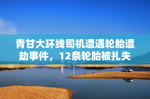 青甘大环线司机遭遇轮胎遭劫事件，12条轮胎被扎失窃