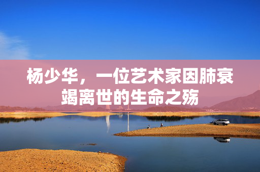 杨少华，一位艺术家因肺衰竭离世的生命之殇