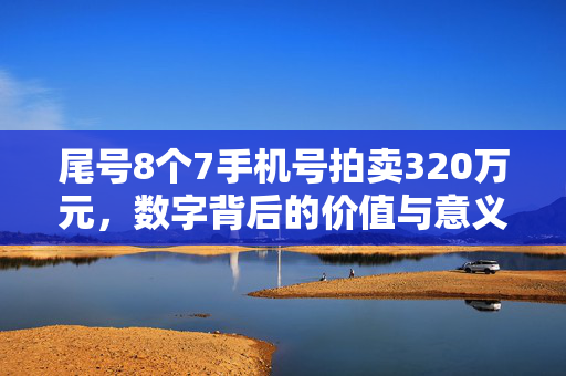 尾号8个7手机号拍卖320万元，数字背后的价值与意义