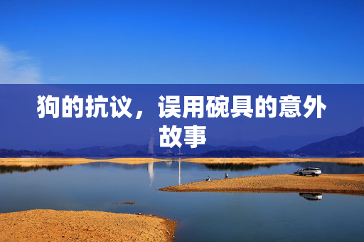 狗的抗议，误用碗具的意外故事
