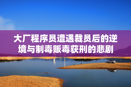 大厂程序员遭遇裁员后的逆境与制毒贩毒获刑的悲剧