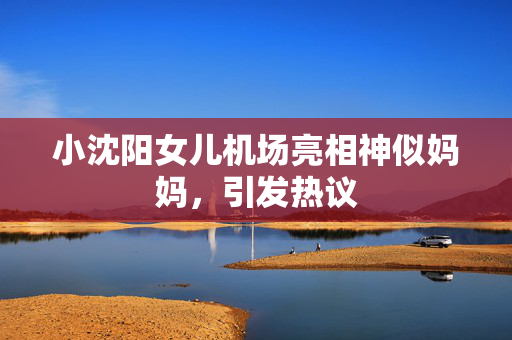 小沈阳女儿机场亮相神似妈妈，引发热议