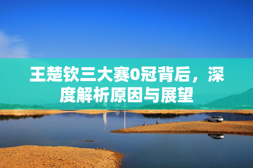王楚钦三大赛0冠背后，深度解析原因与展望