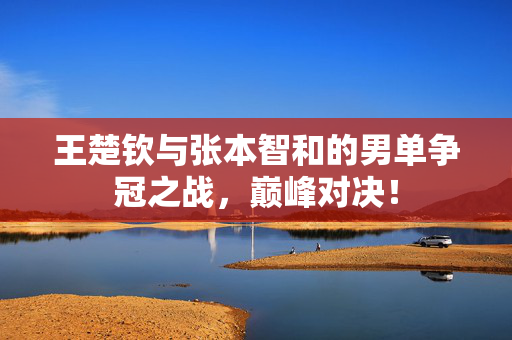王楚钦与张本智和的男单争冠之战，巅峰对决！