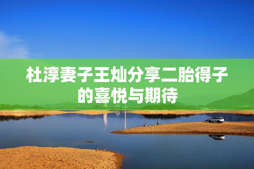 杜淳妻子王灿分享二胎得子的喜悦与期待