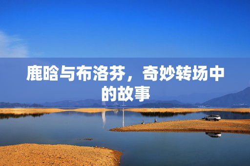鹿晗与布洛芬，奇妙转场中的故事