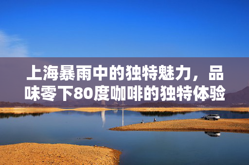 上海暴雨中的独特魅力，品味零下80度咖啡的独特体验