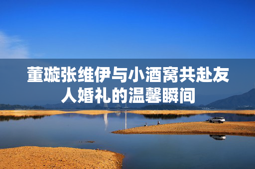 董璇张维伊与小酒窝共赴友人婚礼的温馨瞬间