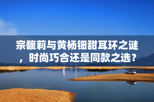 宗馥莉与黄杨钿甜耳环之谜，时尚巧合还是同款之选？