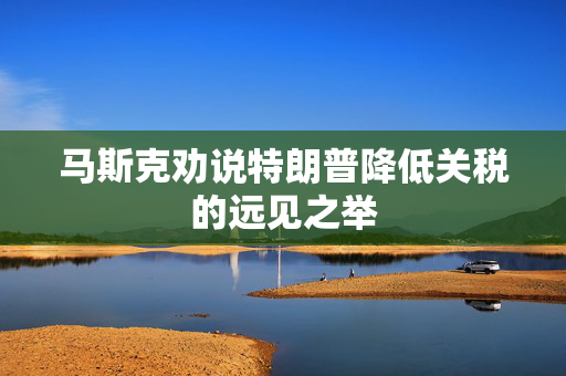 马斯克劝说特朗普降低关税的远见之举