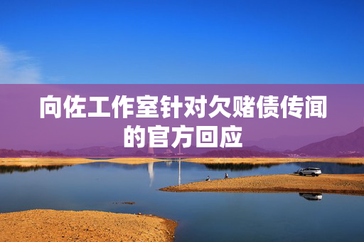 向佐工作室针对欠赌债传闻的官方回应