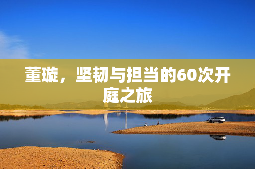董璇，坚韧与担当的60次开庭之旅