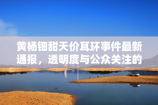 黄杨钿甜天价耳环事件最新通报，透明度与公众关注的双向沟通