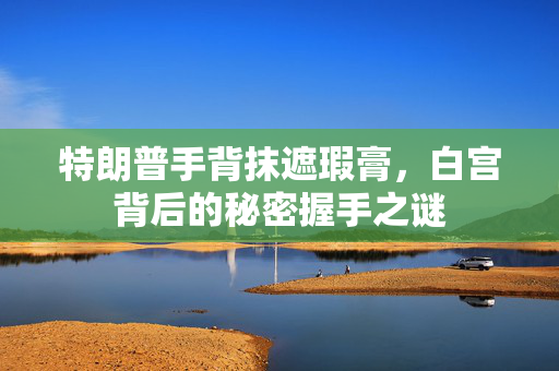 特朗普手背抹遮瑕膏，白宫背后的秘密握手之谜