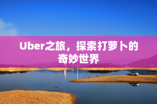 Uber之旅，探索打萝卜的奇妙世界