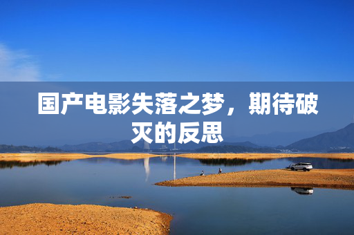 国产电影失落之梦，期待破灭的反思