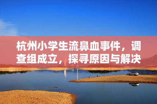 杭州小学生流鼻血事件，调查组成立，探寻原因与解决方案
