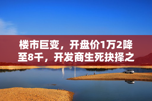楼市巨变，开盘价1万2降至8千，开发商生死抉择之际的楼市风云