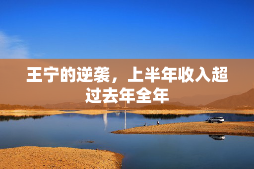 王宁的逆袭，上半年收入超过去年全年