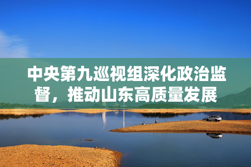 中央第九巡视组深化政治监督，推动山东高质量发展