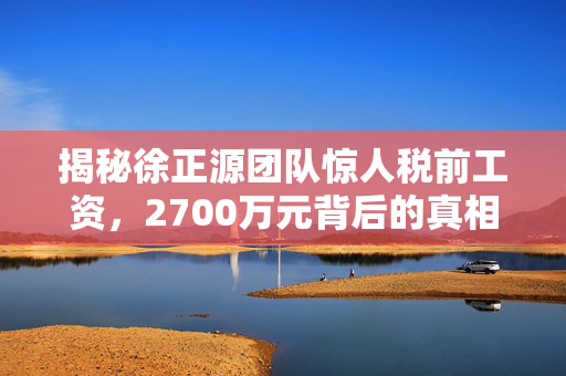 揭秘徐正源团队惊人税前工资，2700万元背后的真相