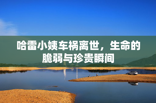 哈雷小姨车祸离世，生命的脆弱与珍贵瞬间