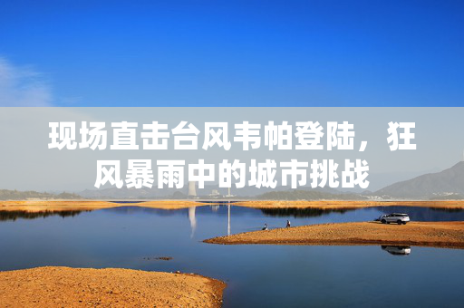 现场直击台风韦帕登陆，狂风暴雨中的城市挑战