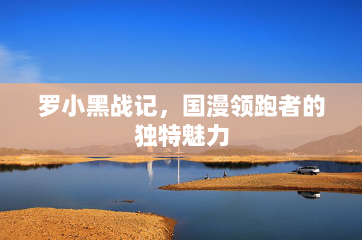 罗小黑战记，国漫领跑者的独特魅力