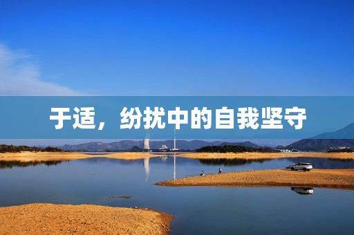 于适，纷扰中的自我坚守