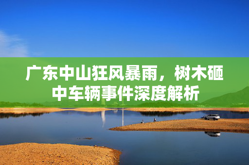 广东中山狂风暴雨，树木砸中车辆事件深度解析