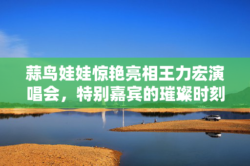 蒜鸟娃娃惊艳亮相王力宏演唱会，特别嘉宾的璀璨时刻