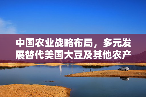 中国农业战略布局，多元发展替代美国大豆及其他农产品的策略