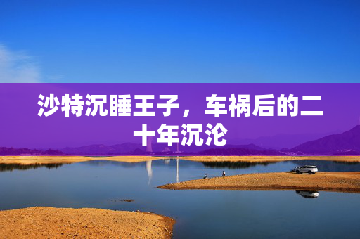 沙特沉睡王子，车祸后的二十年沉沦
