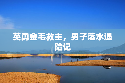 英勇金毛救主，男子落水遇险记