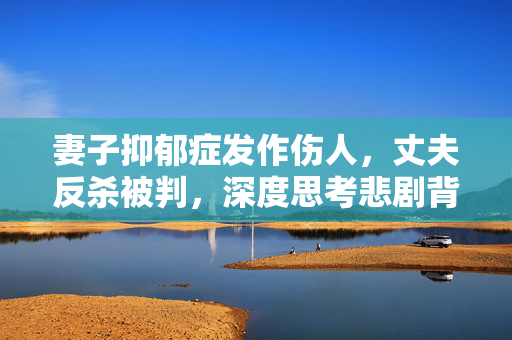 妻子抑郁症发作伤人，丈夫反杀被判，深度思考悲剧背后的责任与挑战