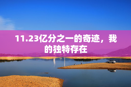 11.23亿分之一的奇迹，我的独特存在
