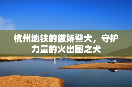 杭州地铁的傲娇警犬，守护力量的火出圈之犬