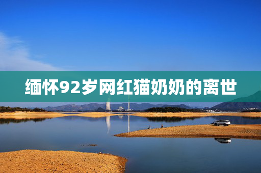 缅怀92岁网红猫奶奶的离世